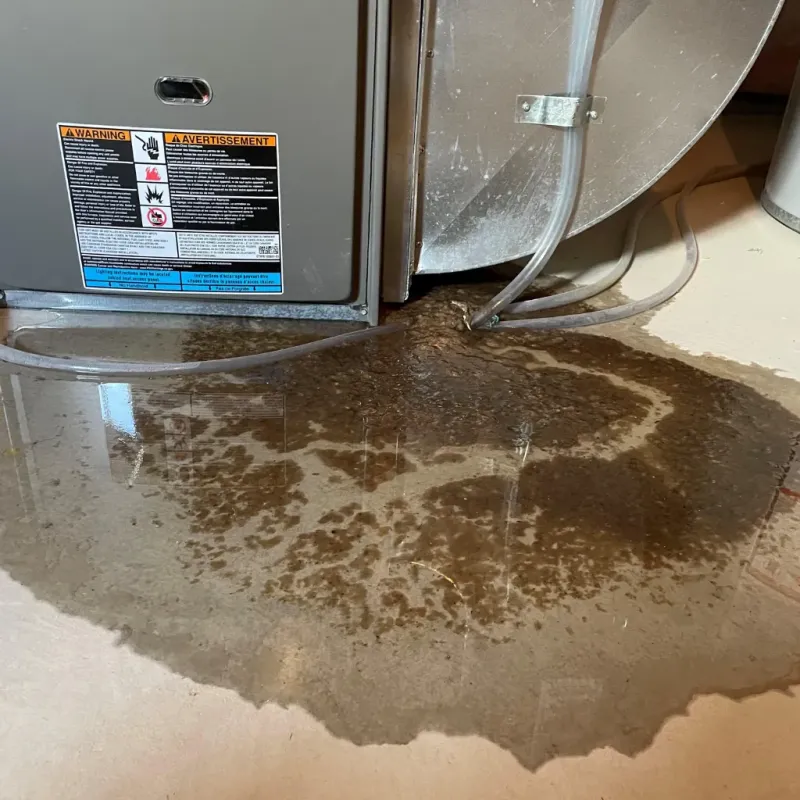 Appliance Leak Cleanup in Union City, OK